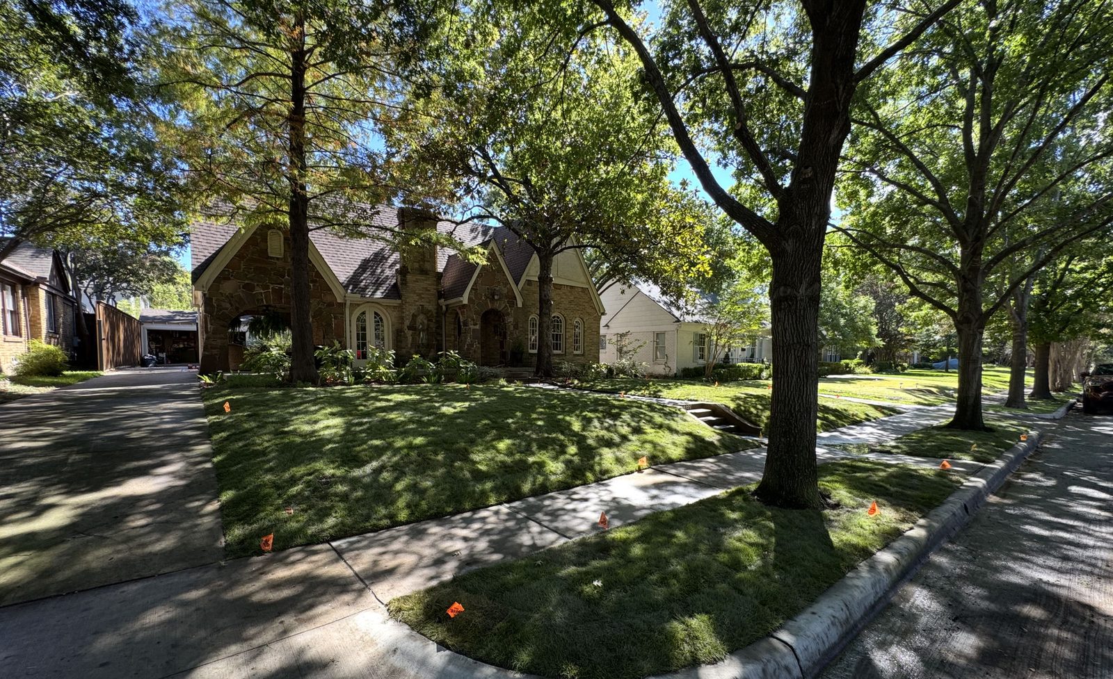 The same Dallas front yard with fresh sod installed by Sod Friend, under mature oak trees