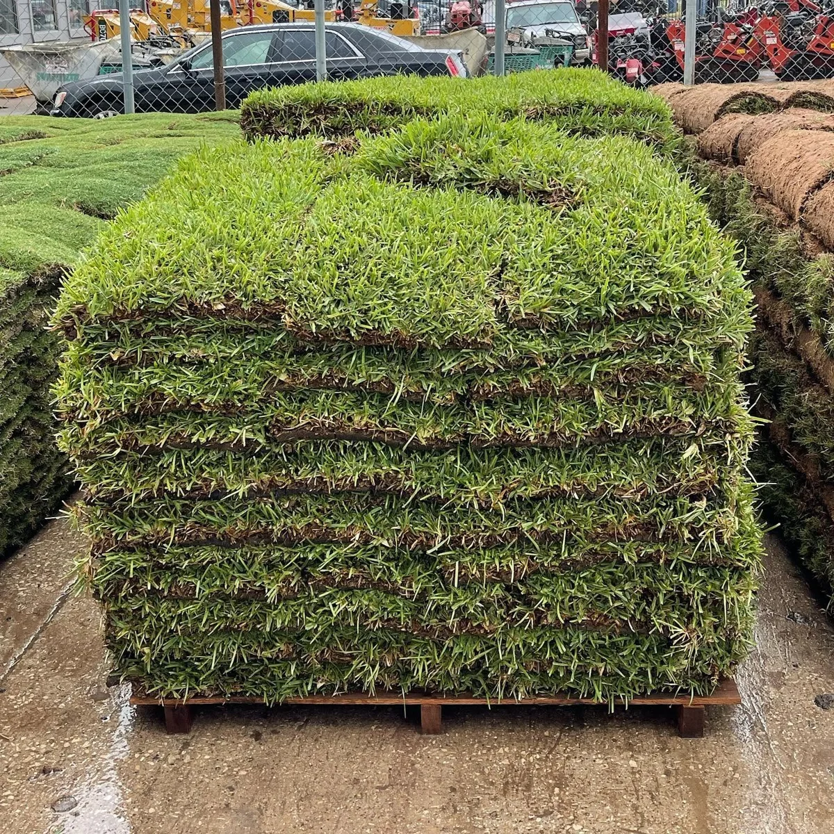 A full pallet of fresh-cut St. Augustine sod slabs stacked on a wooden pallet