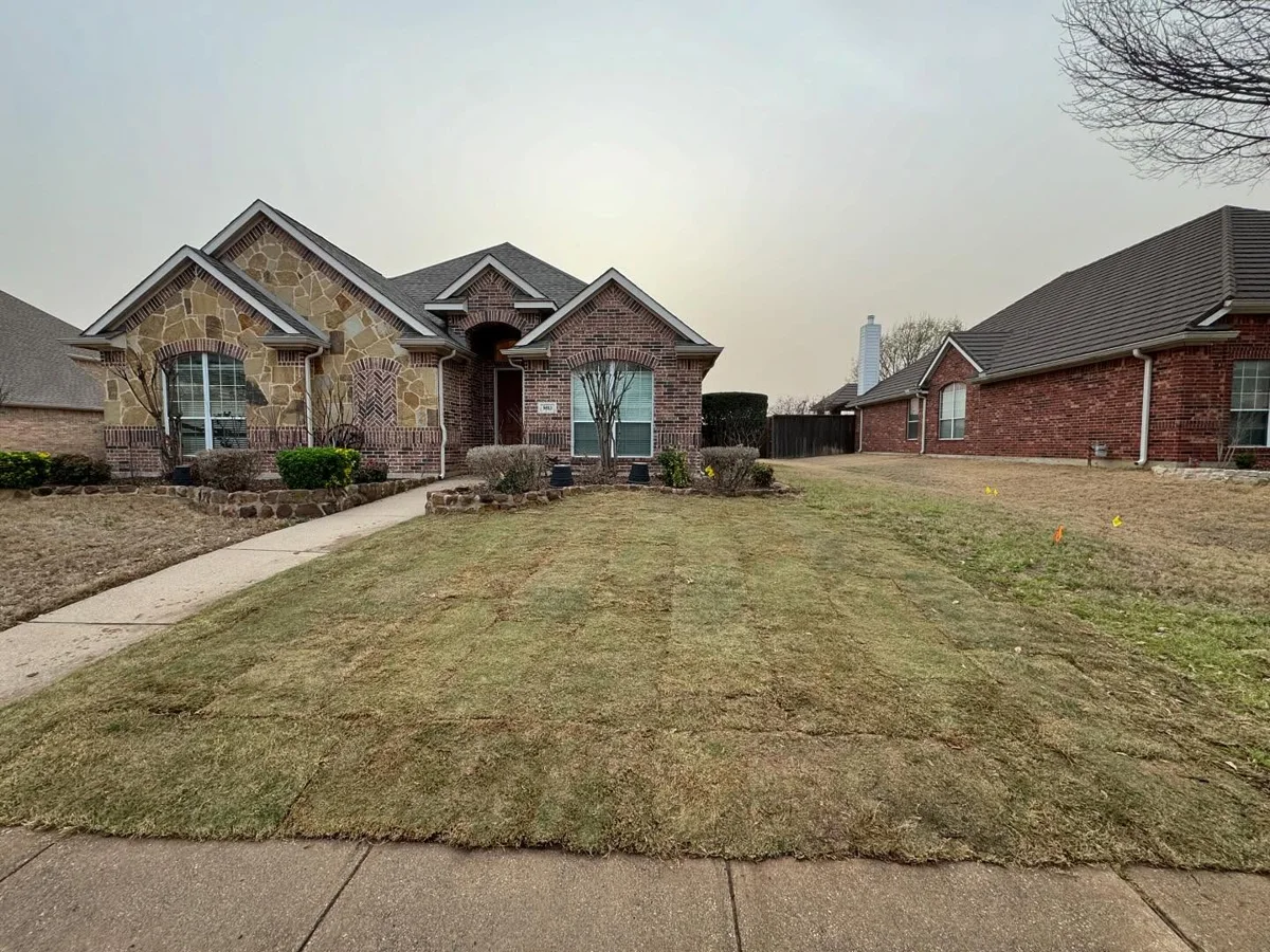 Installed lawn in Flower Mound, TX