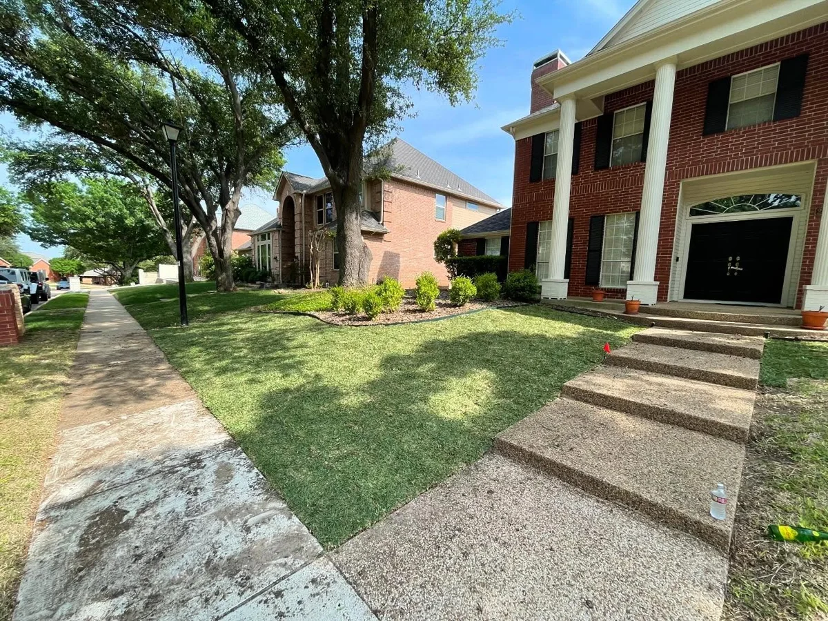 Installed lawn in DFW Area, Texas