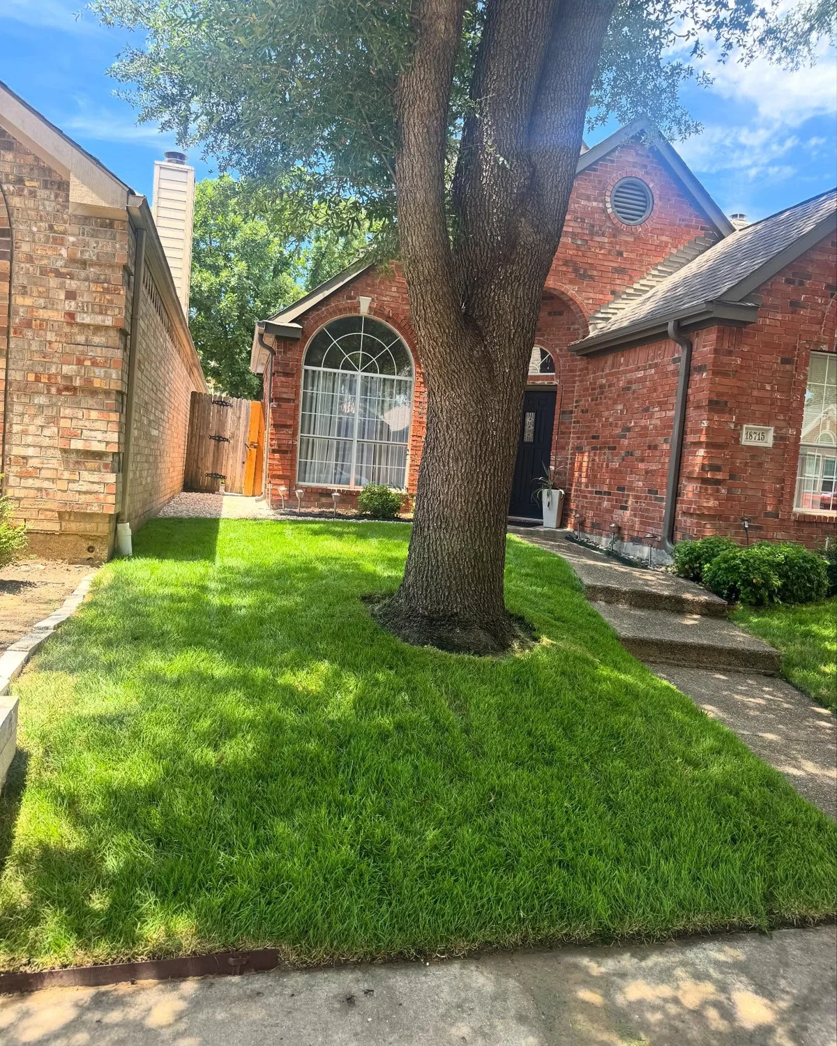 First mow in Far North Dallas, Dallas