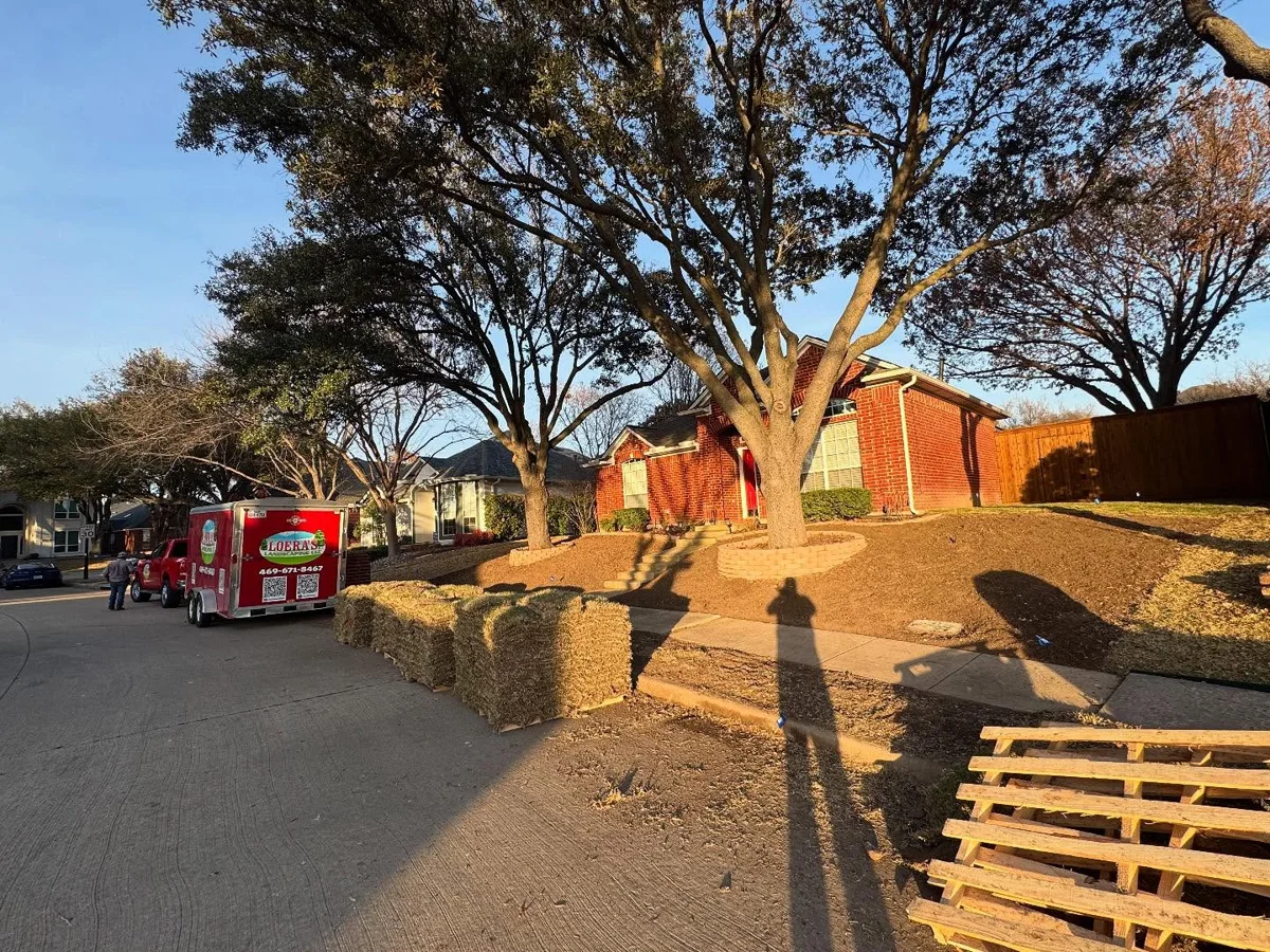 Sod installation in Far North Dallas, Dallas
