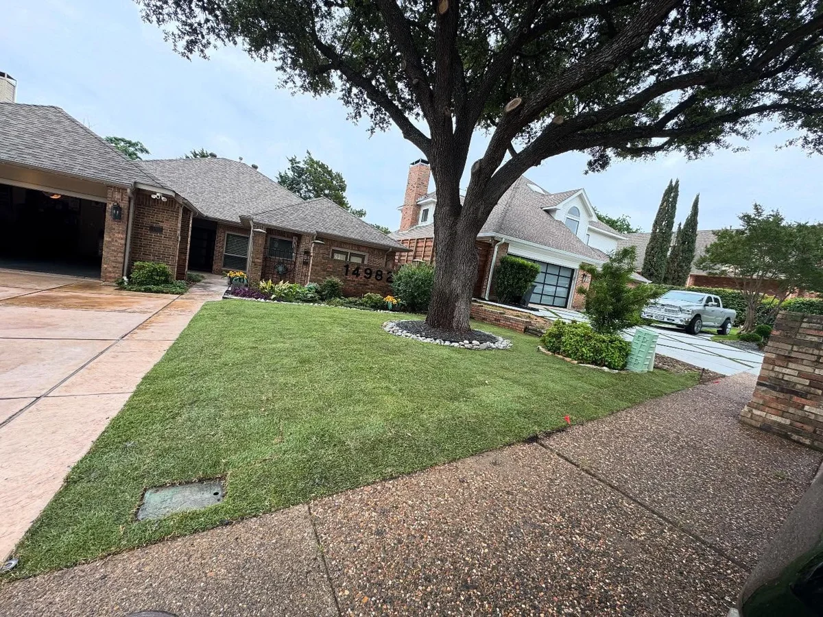 After sod installation at the same Dallas front yard
