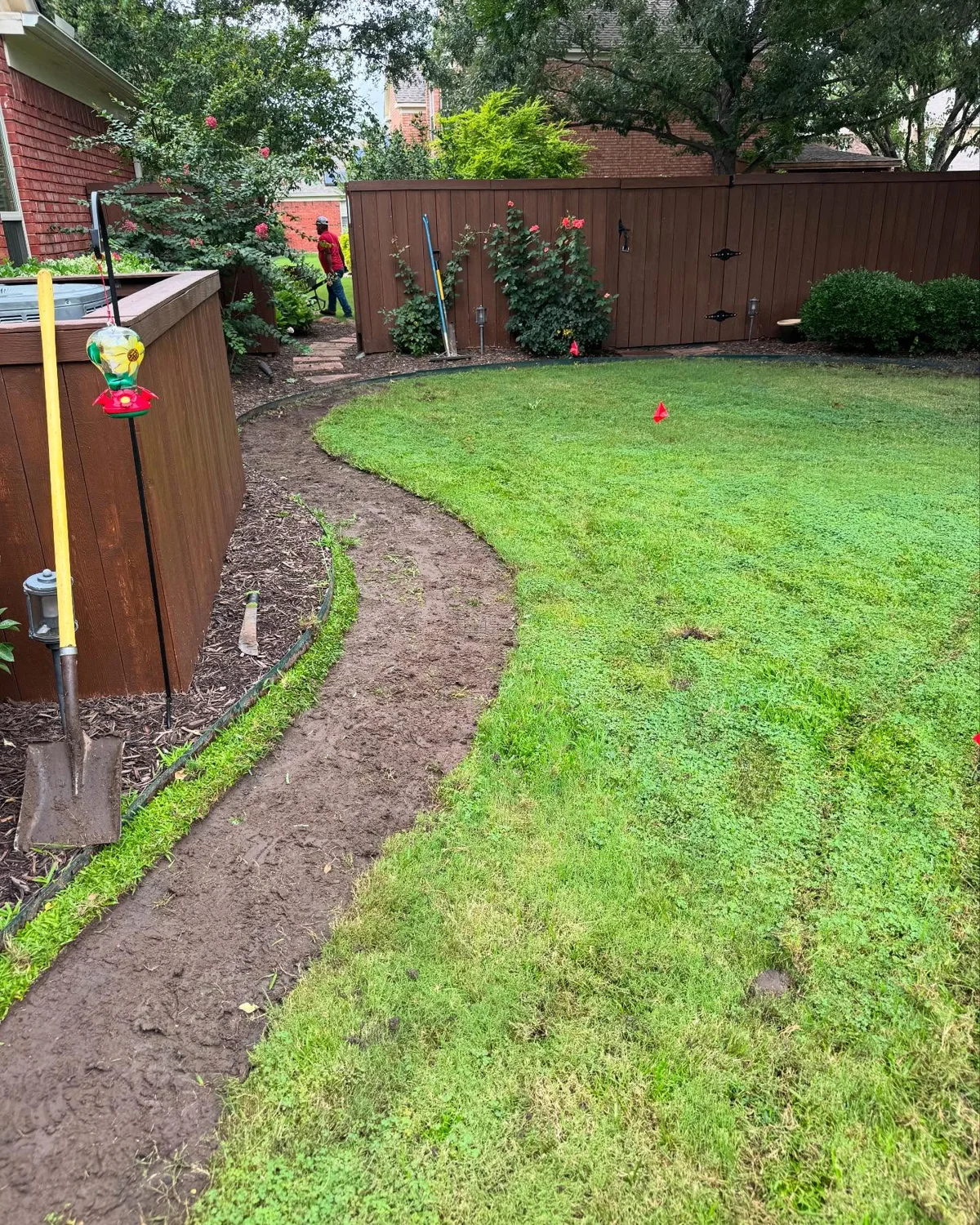 A backyard lawn with a bare curved strip beside a planting bed and a wooden fence