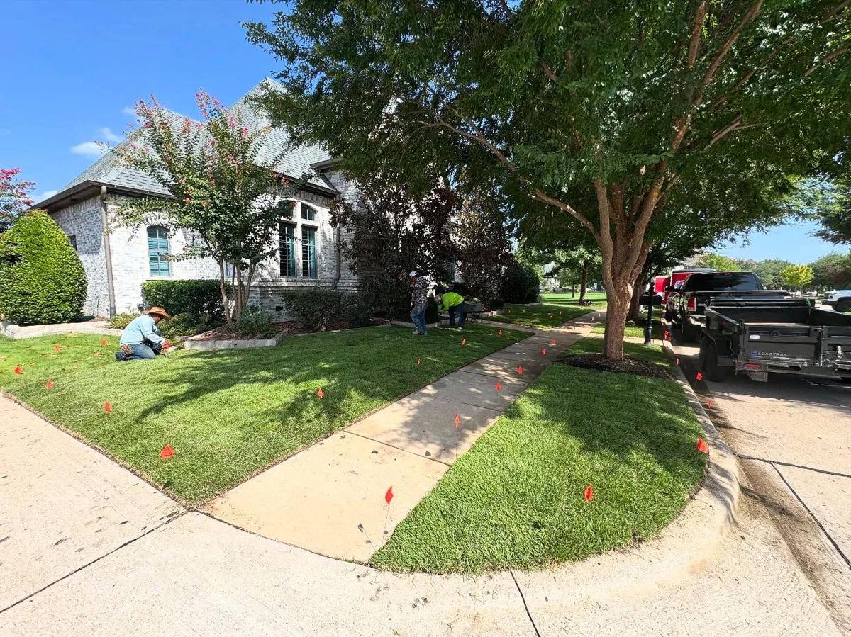 Installed lawn in Southlake, TX