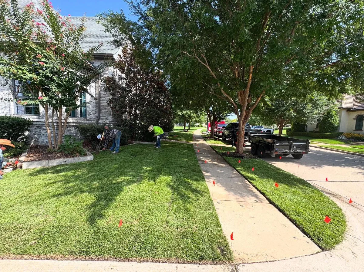 Installed lawn in Southlake, TX