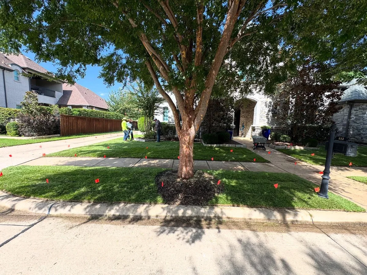 Installed lawn in Southlake, TX