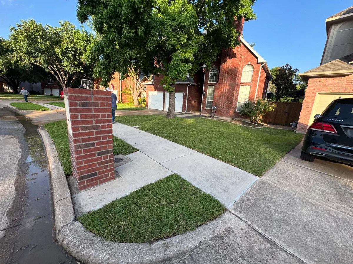 Installed lawn in Dallas, TX