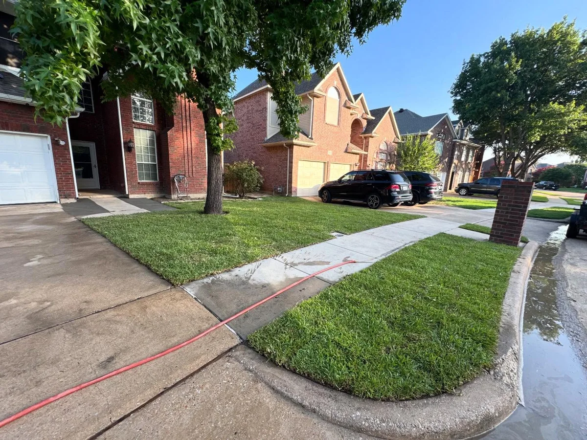 Installed lawn in Dallas, TX