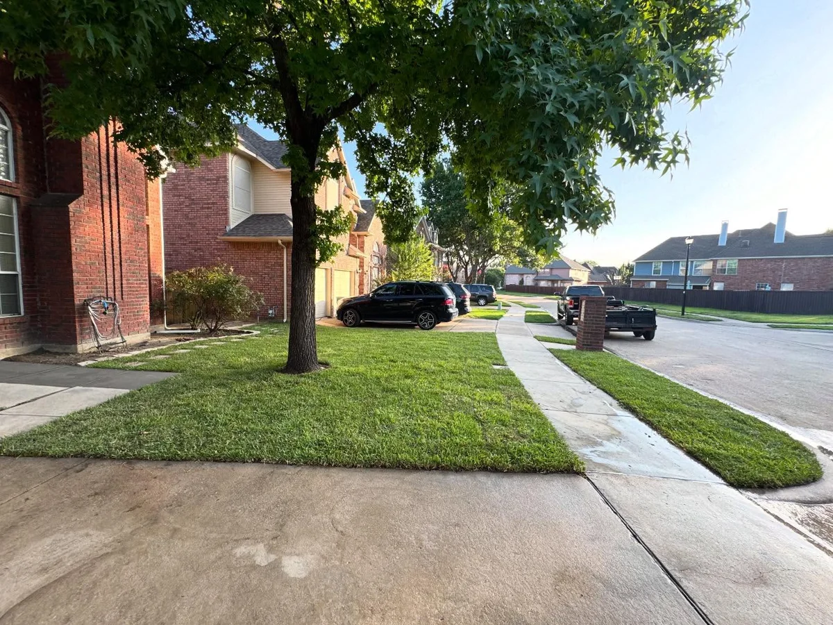 Installed lawn in Dallas, TX